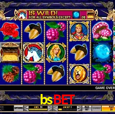 bsbet Rio de Janeiro - Bonus Terms